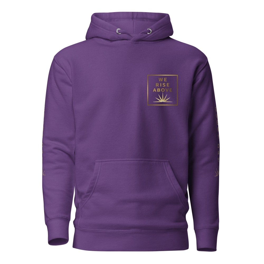 WE RISE ABOVE | Rise Light Purpose Premium Pullover Hoodie - We Rise Above